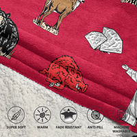 Load image into Gallery viewer, Arkansas Blanket Hoodie
