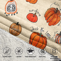 Load image into Gallery viewer, Pumpkin Blanket Hoodie
